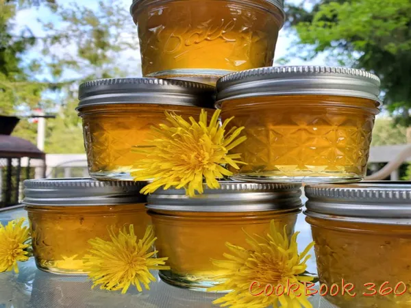 CookBook Recepie image 