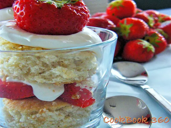 CookBook Recepie image 